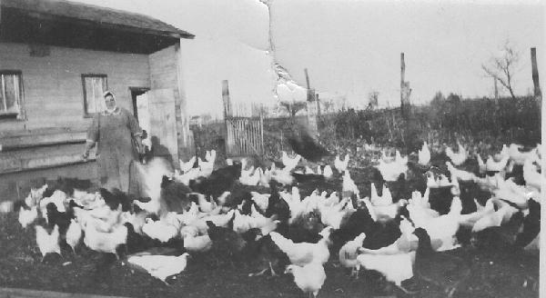 Original image