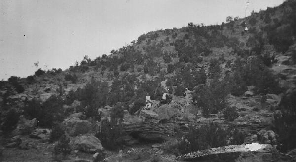 Original image